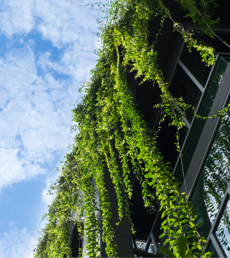 sustainability focused pr firm, image of a building with leaves